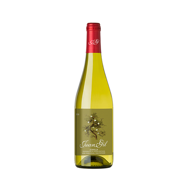 Picture of Blanco - GIL Family Estates