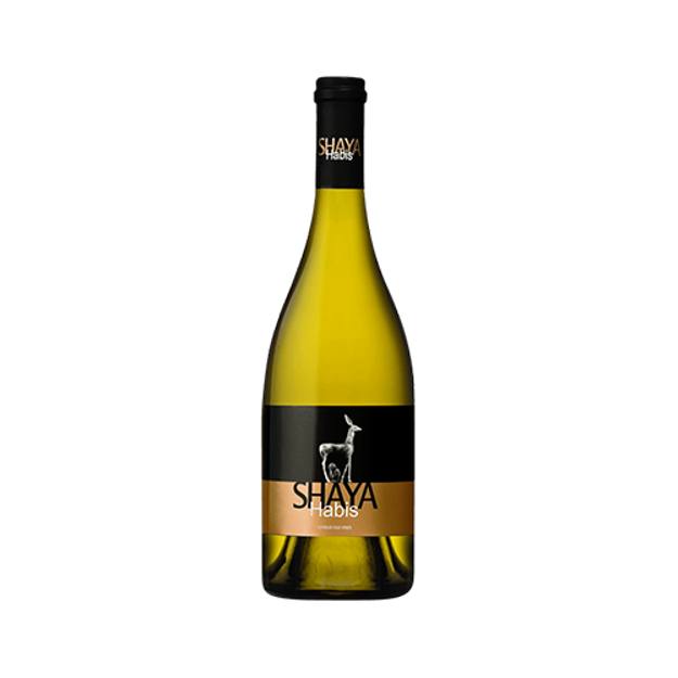 Picture of Shaya Habis - GIL Family Estates