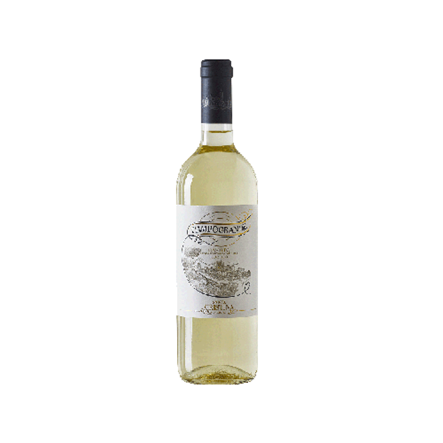 Picture of Campogrande - Marchesi ANTINORI